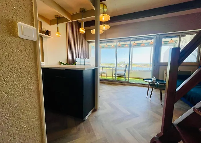 アパート Cap D'agde T2 4-6 Personnes Mezzanine Vue Piscine Wifi