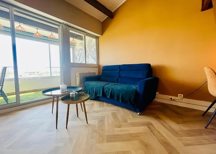 Cap D'agde T2 4-6 Personnes Mezzanine Vue Piscine Wifi アグド