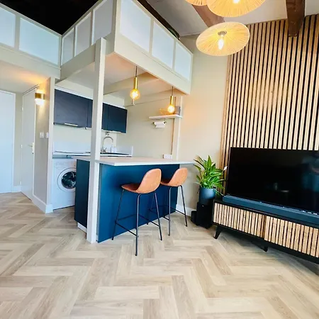 Cap D'agde T2 4-6 Personnes Mezzanine Vue Piscine Wifi 公寓